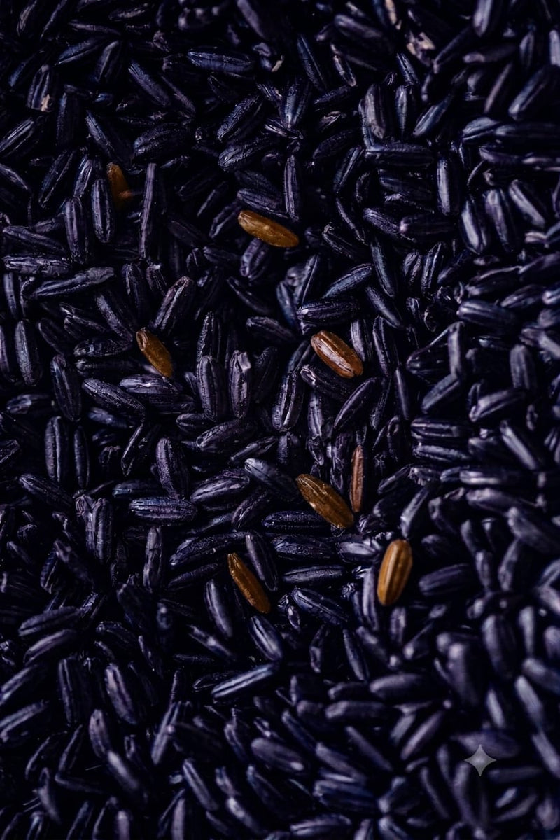 Manipur Black Rice