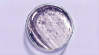 Hyaluronic Acid