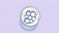 Tranexamic Acid